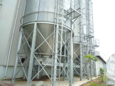  Thi công lắp đặt Silo chứa bắp, lúa mì...